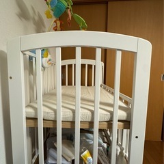 🉐ベビーベット🉐の画像