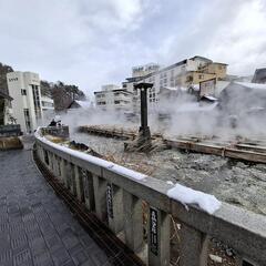 ミドルエイジだから、温泉♨️と宿🏨 - 友達