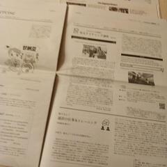 英字新聞 the Japan times alpha7部の画像
