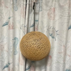ライト