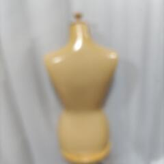 無料！上半身トルソーの画像