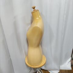 無料！上半身トルソーの画像