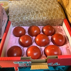 JAいしまき産🍅こだわりくん塩トマト