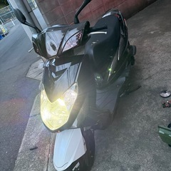 シグナス2型