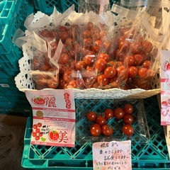 糖度8°🍅美のフルーツミニトマト