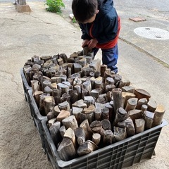 薪焚き木(コンテナ1杯の画像