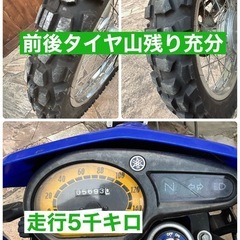 ヤマハ　XTZ125 原2オフ車　絶好調セルイチ　低走行　林道ツーリング　フルノーマル　XL125　DT125の画像