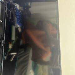 テレビ