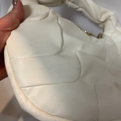ジーナシス　バッグの画像