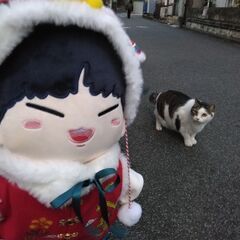 CARATさんのセブチぬい友募集💎 - 友達
