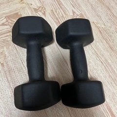 ダンベル10kg  1セット（10kgが２つ）の画像