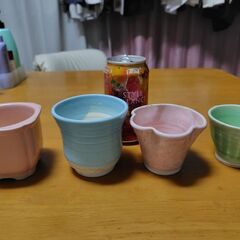 山野草用の鉢