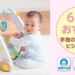 （決定済）うちの赤ちゃん世界一® スマート知育ジム＆ウォーカーの画像