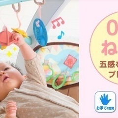 （決定済）うちの赤ちゃん世界一® スマート知育ジム＆ウォーカーの画像