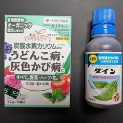 【お値下げ】カリグリーンとダイン