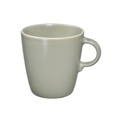 IKEA FÄRGKLAR イケア フェルグクラー マットグリーンの画像