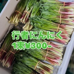 市場仕入れ☆安心安全新鮮な行者にんにく入荷しました✨