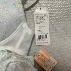 【決定】未着用　チュチュアンナ　セットの画像