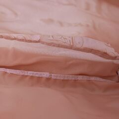 LIZ LISAリズリサバックの画像