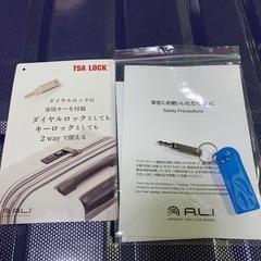 大型スーツケース　1個 海外2往復使用のみ の画像