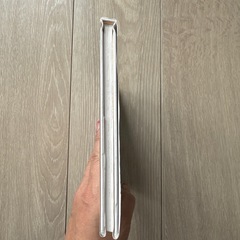 山のちょうじょうの木のてっぺんの画像