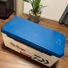 ダイワライトトランク32ℓ
の画像