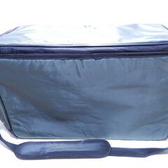 Daiwa ダイワ sportsfishing bag フィッシングバッグ ソフトクーラーバッグ 保冷バッグ 大型の画像