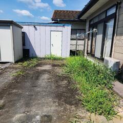 除草剤散布、草刈り、伐採など - 剪定/造園