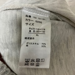 大きいサイズ☆ミッキー☆4Lの画像