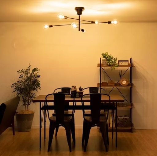 アストル シーリングライト シーリングライト 照明 おしゃれ LED対応 アーム可動式　アイアン 北欧 インターフォルム インテリア ライト オシャレ　男前Ｅ26　6灯 astre [アストル]LT-2679【LED電球使用可】