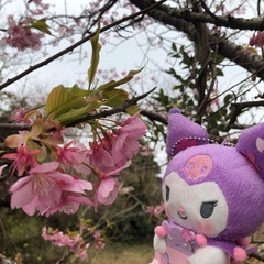 サンリオ好きと友達になりたい！ - 邑楽郡
