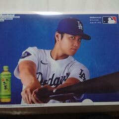 新品・未使用品　伊藤園　お〜いお茶　大谷翔平選手　オリジナル　クリアファイルの画像