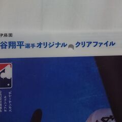 新品・未使用品　伊藤園　お〜いお茶　大谷翔平選手　オリジナル　クリアファイルの画像