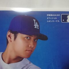 新品・未使用品　伊藤園　お〜いお茶　大谷翔平選手　オリジナル　クリアファイルの画像