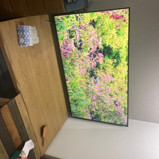 4K対応65型液晶テレビ