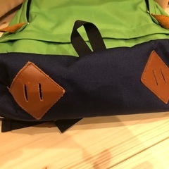 THE NORTH FACE 緑 ネイビー リュック21Lの画像