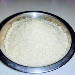 コシヒカリ ２０Ｋｇ 精米済