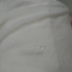 枕 肩安定の画像