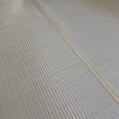  (譲り先決まりました)洗えるい草風カーペット グレー  約261X352cm の画像