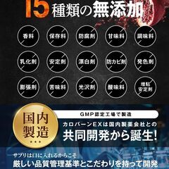 【新品・未開封】ダイエットサポートサプリメント（30日分）の画像