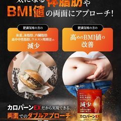 【新品・未開封】ダイエットサポートサプリメント（30日分）の画像