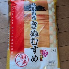 農家直売・特別栽培米 きぬむすめ 玄米30kgまたは白米27kg〈1