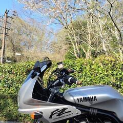 【値下げ】ヤマハ　YAMAHA　FZ400 4YRの画像