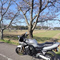 【値下げ】ヤマハ　YAMAHA　FZ400 4YRの画像