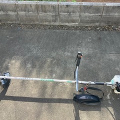 🐟錦鯉🐠紅九紋龍(べにくもんりゅう)ドイツ鯉・・・鱗を持たない