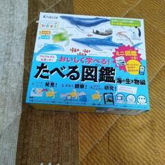 クラシエ 知育菓子 たべる図鑑 海の生き物編
