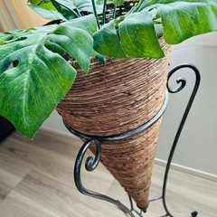 【終了】フラワースタンド（観葉植物付き）の画像