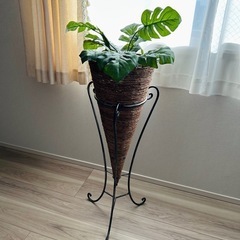 【終了】フラワースタンド（観葉植物付き）の画像