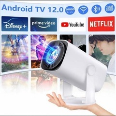 ✨現地現金払い✨【270°回転・Android TV搭載】VAN...