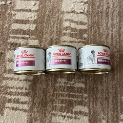 ROYAL CANIN 腎臓サポート ウエットフード
